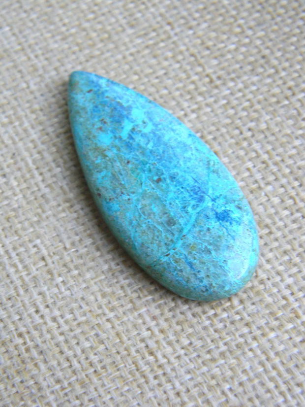 Caboson chrysocolla (F45-1)