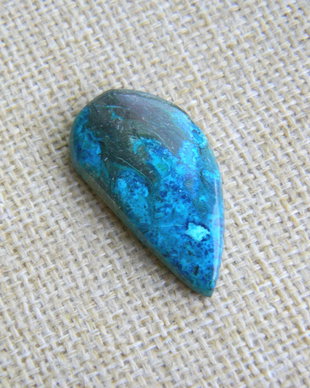 Caboson chrysocolla (F45-1)