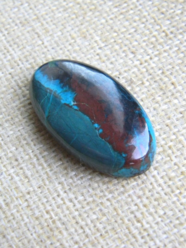 Caboson chrysocolla (F45-1)