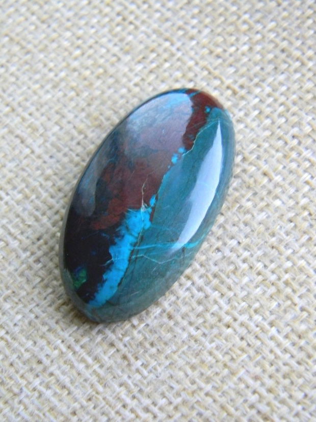 Caboson chrysocolla (F45-1)