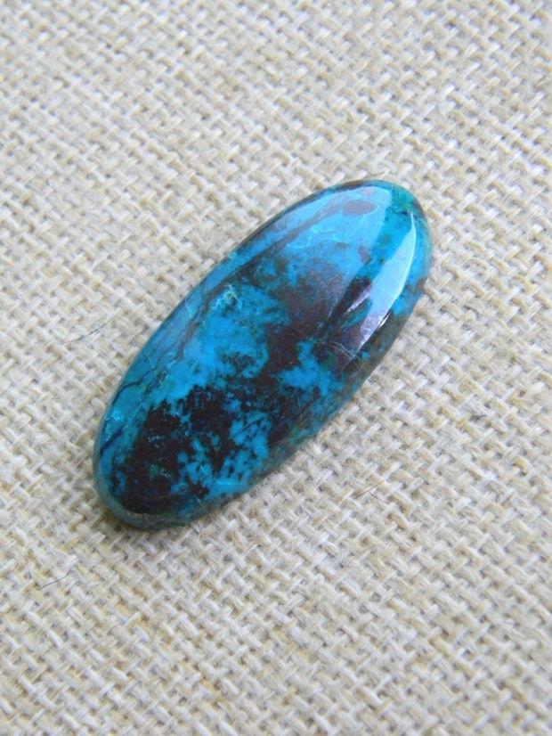 Caboson chrysocolla (F45-1)