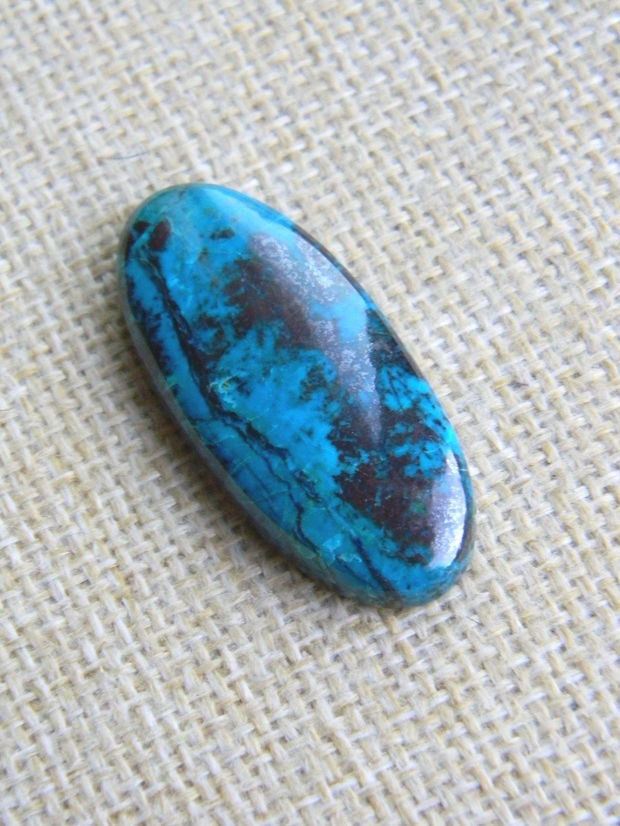 Caboson chrysocolla (F45-1)