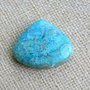 Caboson chrysocolla (F45-1)