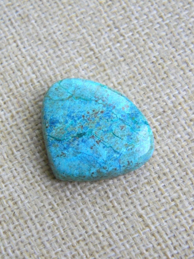 Caboson chrysocolla (F45-1)