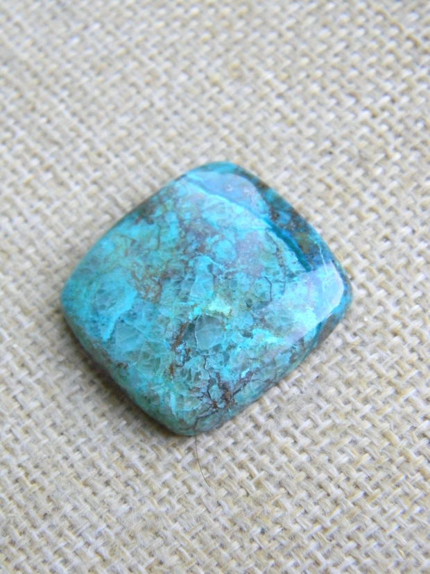 Caboson chrysocolla (F45-1)