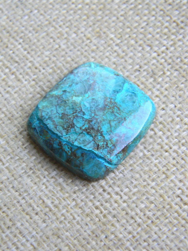 Caboson chrysocolla (F45-1)