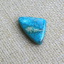 Caboson chrysocolla (F45-1)