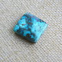 Caboson chrysocolla (F45-1)