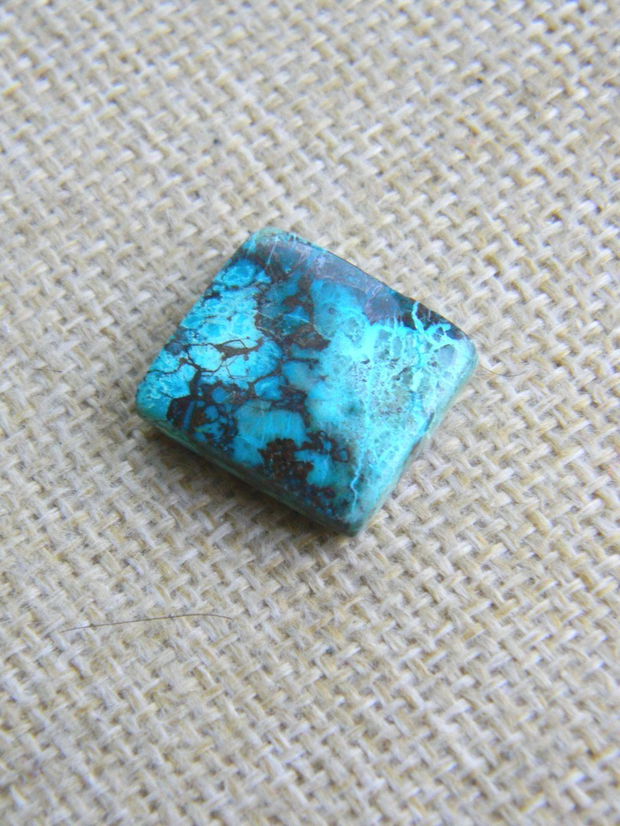 Caboson chrysocolla (F45-1)