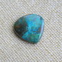Caboson chrysocolla (F45-1)
