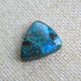 Caboson chrysocolla (F45-1)