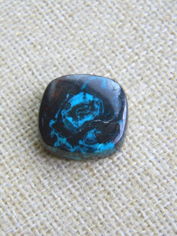 Caboson chrysocolla (F45-1)