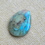 Caboson chrysocolla (F46-1)