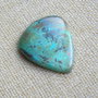 Caboson chrysocolla (F46-1)