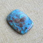 Caboson chrysocolla (F46-1)