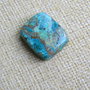 Caboson chrysocolla (F46-1)