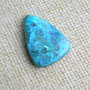 Caboson chrysocolla (F46-1)