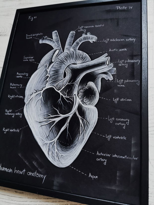 Tablou Anatomia Inimii