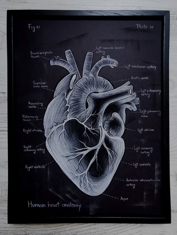 Tablou Anatomia Inimii