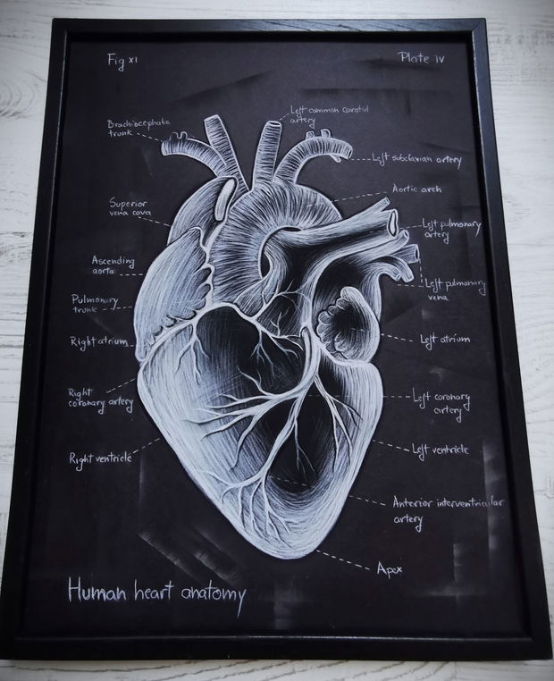 Tablou Anatomia Inimii