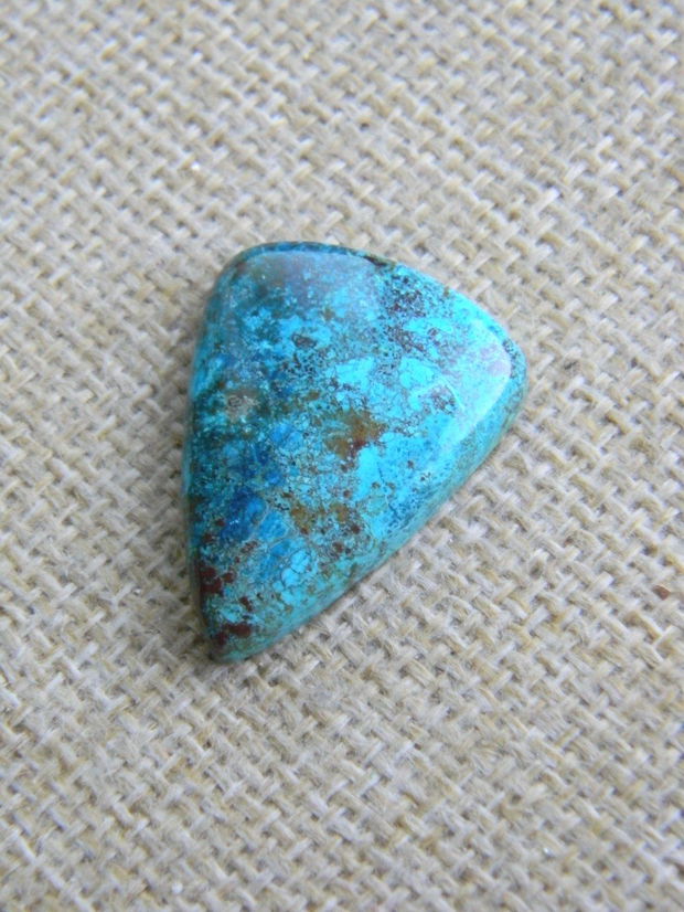 Caboson chrysocolla (F46-2)