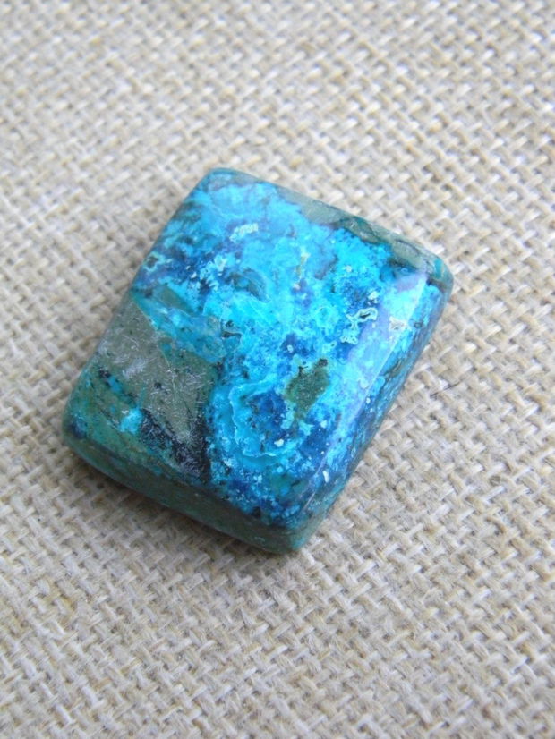 Caboson chrysocolla (F46-2)