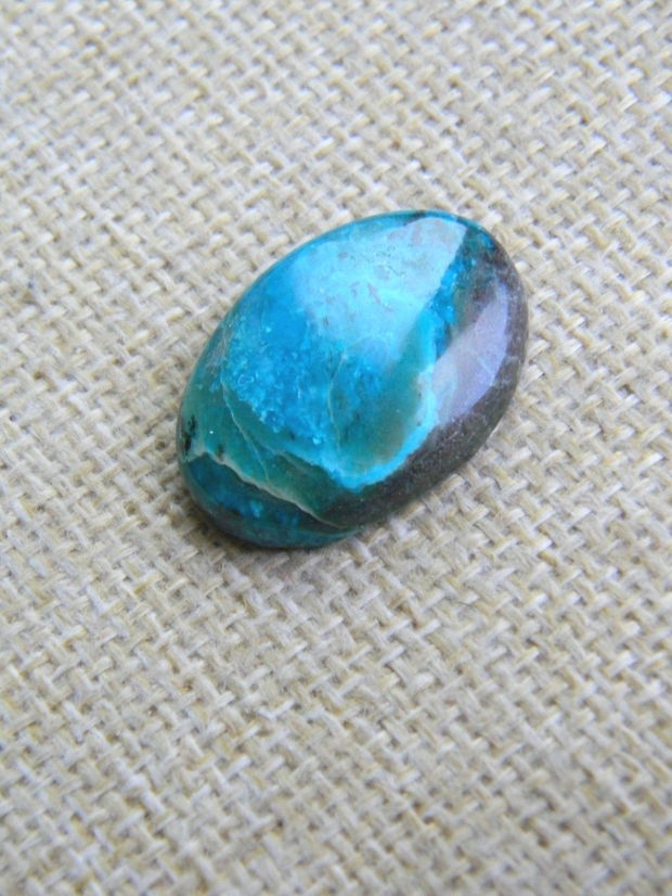 Caboson chrysocolla (F46-2)