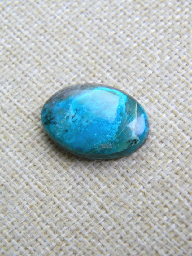 Caboson chrysocolla (F46-2)