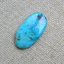 Caboson chrysocolla (F46-2)
