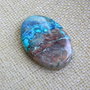 Caboson chrysocolla (F46-1)