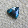 Caboson chrysocolla (F46-1)