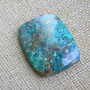 Caboson chrysocolla (F46-1)