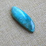 Caboson chrysocolla (F46-1)