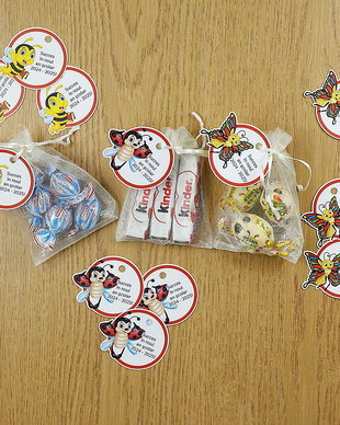 Saculet organza + eticheta personalizata cu mascota clasei