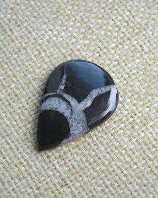Caboson septarian (C81)