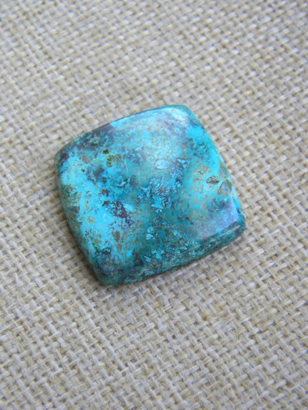 Caboson chrysocolla (F44-5)