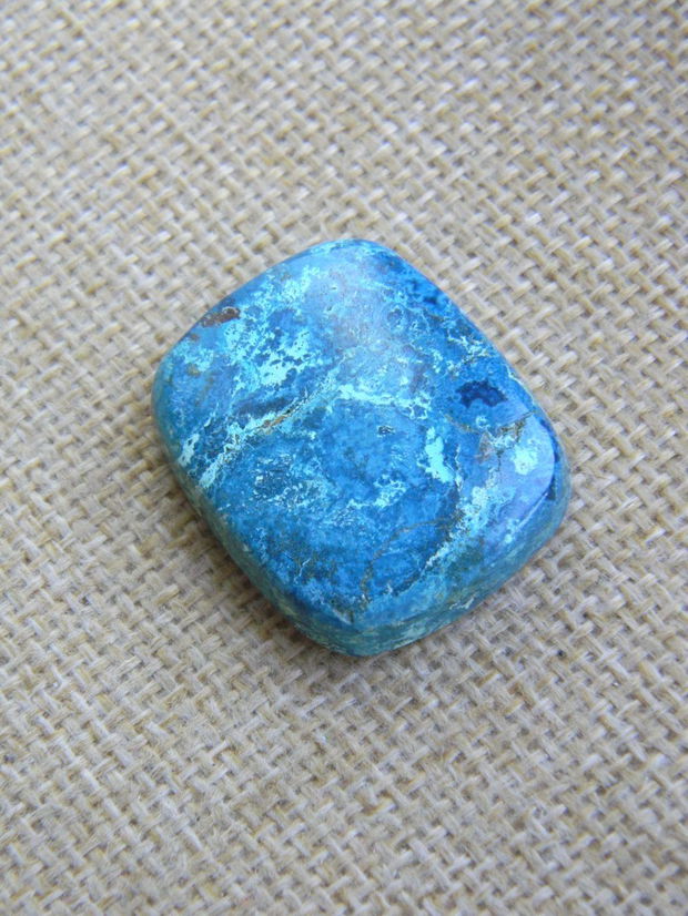 Caboson chrysocolla (F44-5)