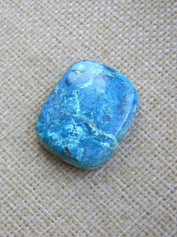 Caboson chrysocolla (F44-5)