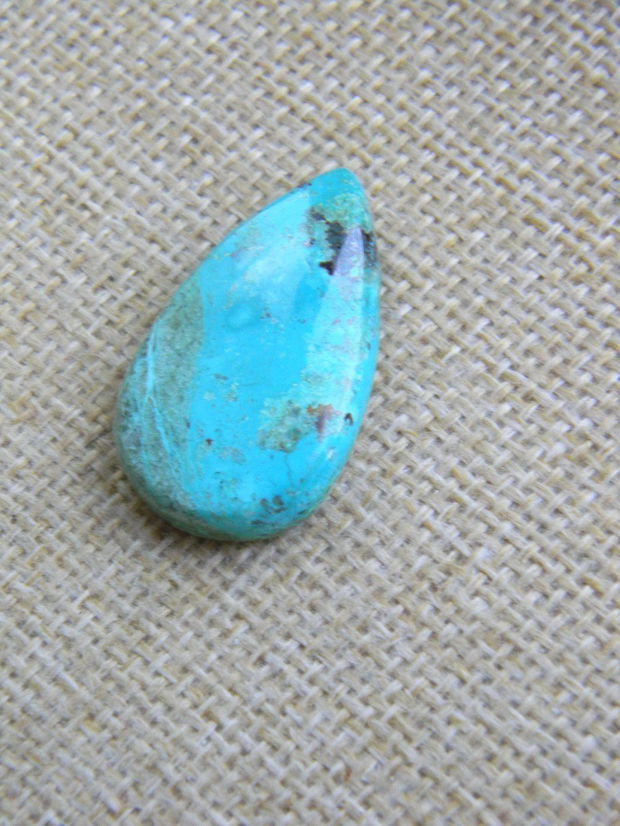 Caboson chrysocolla (F44-5)