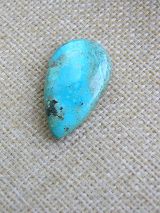 Caboson chrysocolla (F44-5)