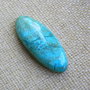 Caboson chrysocolla (F44-5)