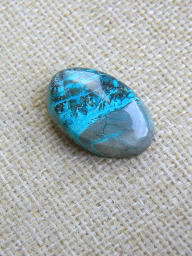 Caboson chrysocolla (F44-5)