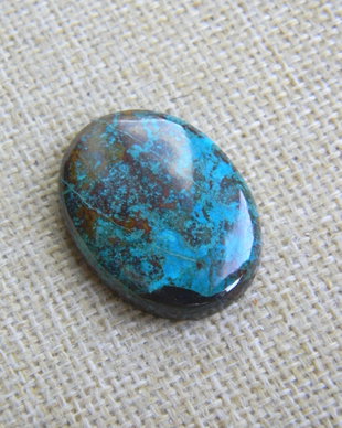Caboson chrysocolla (F44-5)