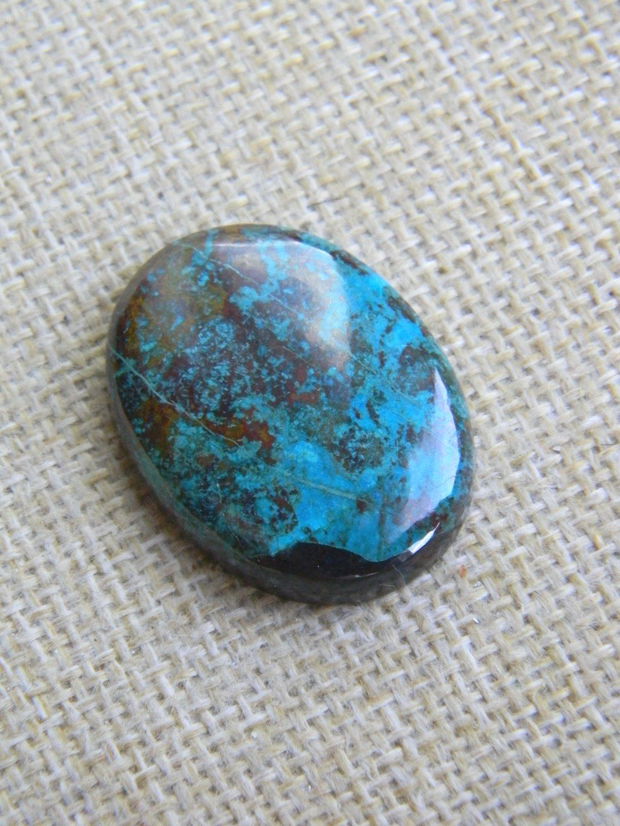 Caboson chrysocolla (F44-5)