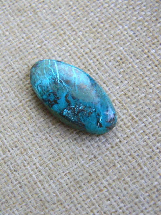 Caboson chrysocolla (F44-5)