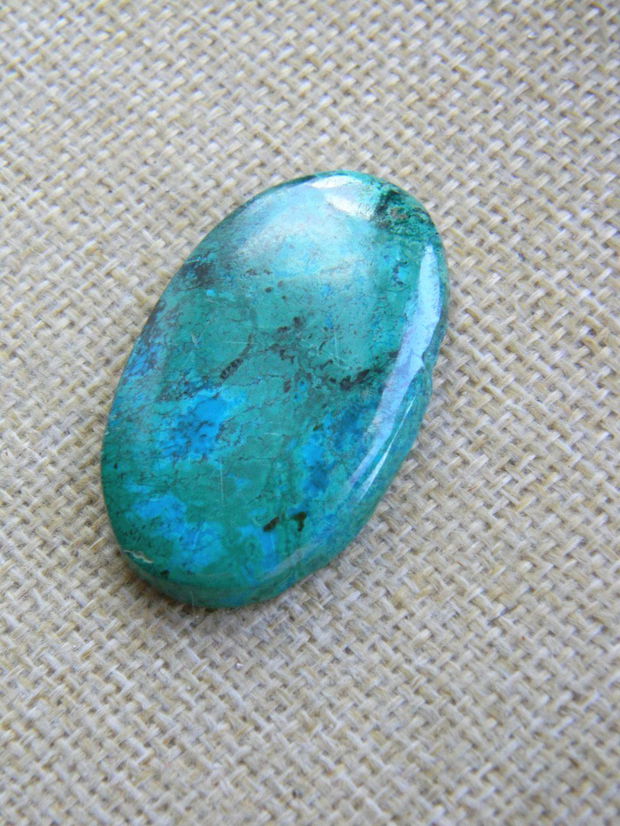 Caboson chrysocolla (F44-5)