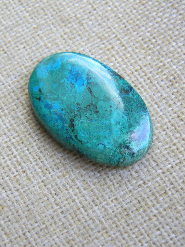 Caboson chrysocolla (F44-5)