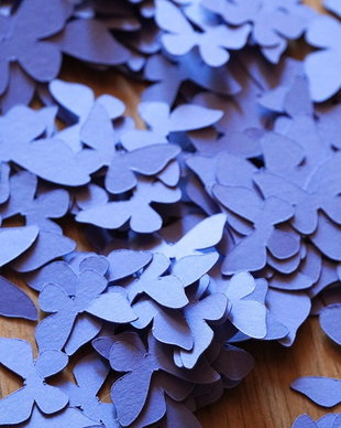 Confetti Fluturi