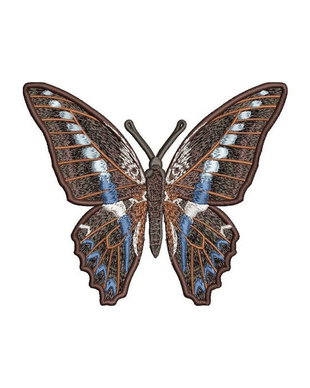 Brosa fluture exotic