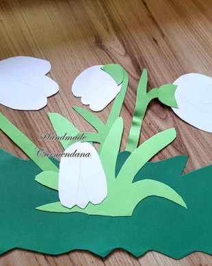Decoratiune pavoazare clasa